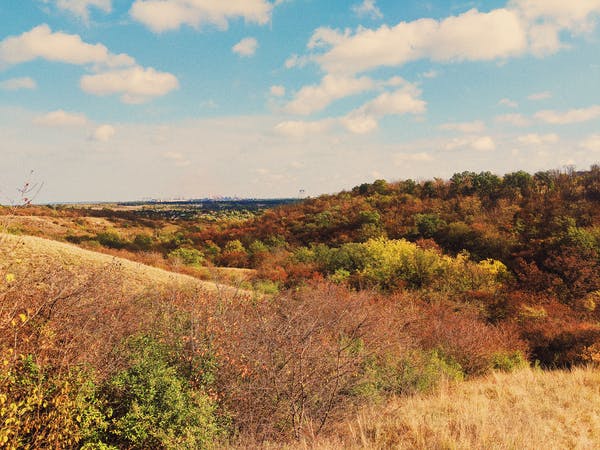九型人格之1號完美主義者的性格亮點