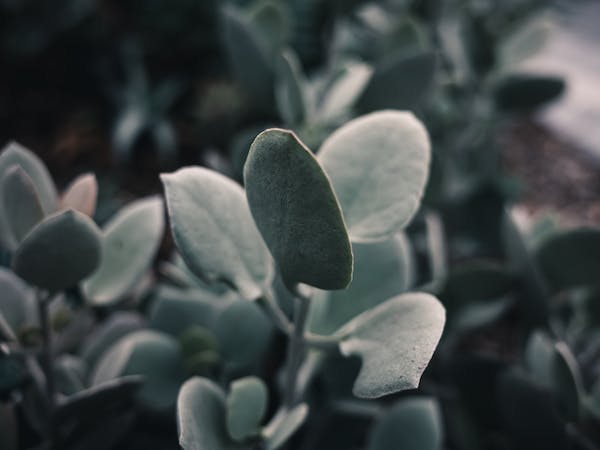 九型人格副型7號