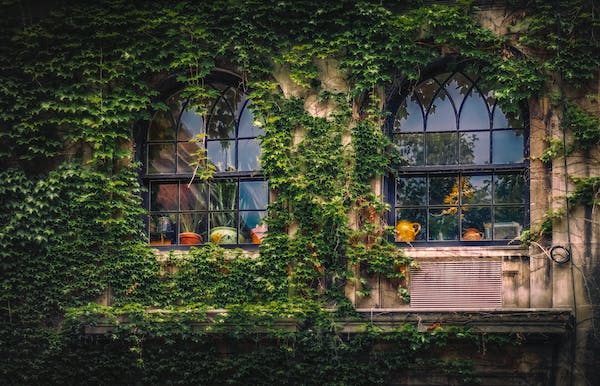 如何與5號輕松相處？