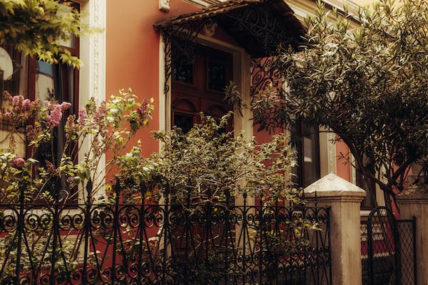 社交副型的5號(hào)