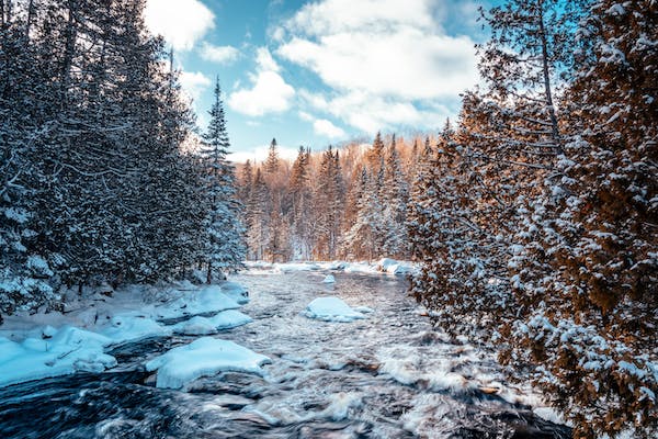 7 號性格的經典人物