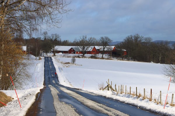 深入解讀 7 號性格的本質