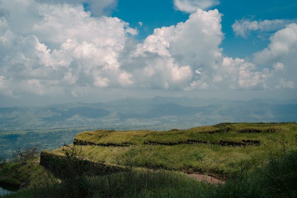  7 號性格的主要性格特征