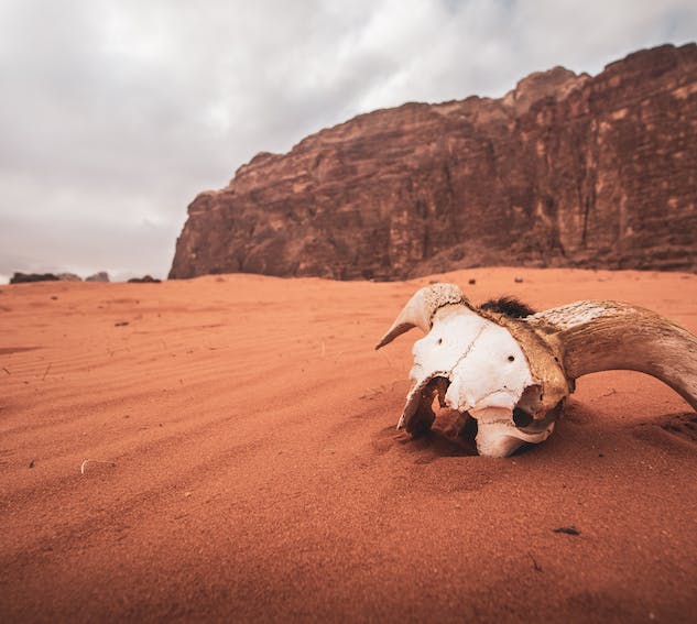 九型人格學面面觀之表現主義