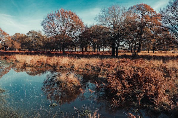 九型人格之四號自我型人的解釋