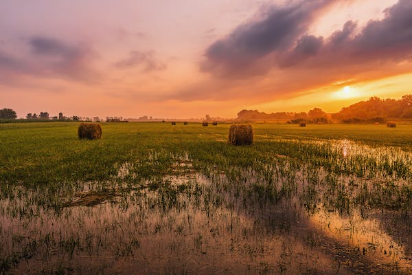 九型人格之六號疑惑型人的解釋