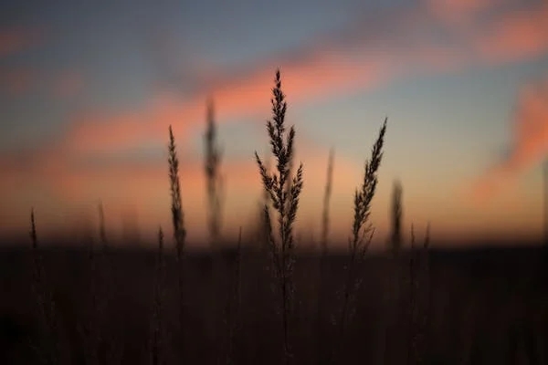 ESTP類型的人是現(xiàn)實主義者，他們善于抓住機會，愿意冒險