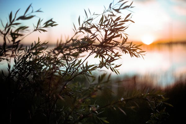 ESFJ類型的人是非常熱心腸的，善于處理人際關系，有很強的