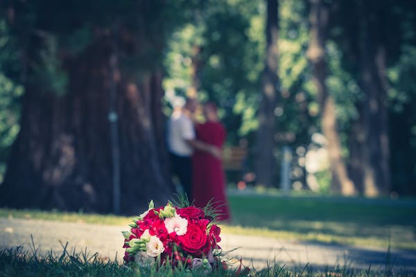 忠誠型（The Loyalist）：棕色、深綠色或灰藍色