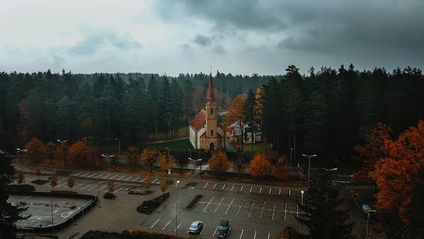 忠誠者（型號6）：忠誠、負責、警覺