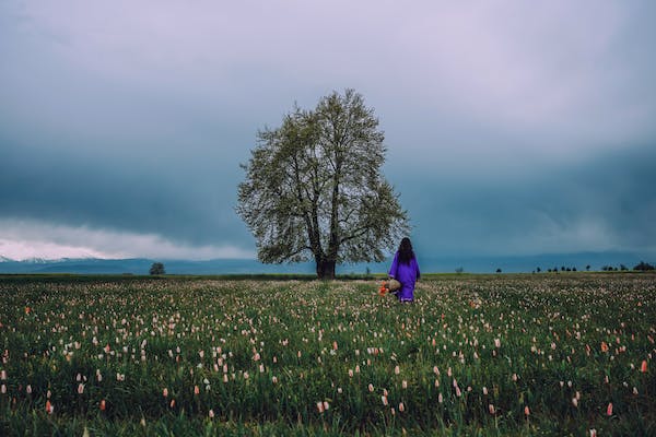 Loyalist（忠誠者）的邏輯密碼