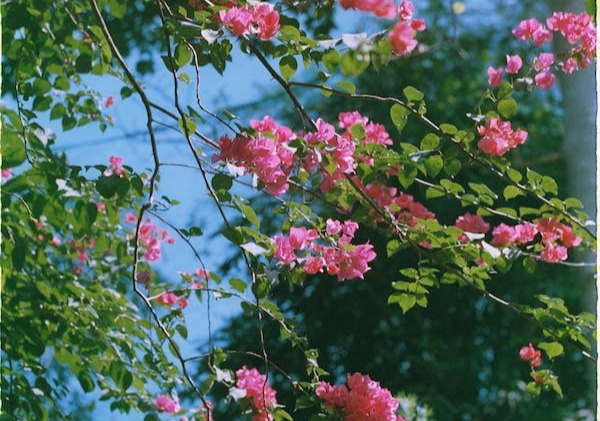 1-7-2：完美型、活躍型、助人型