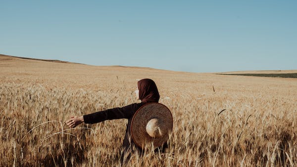 2-8-3：助人型、領袖型、成就型