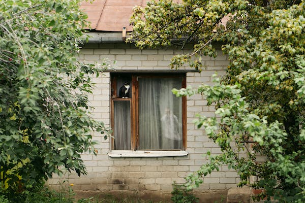 3-6-7：成就型、忠誠型、活躍型