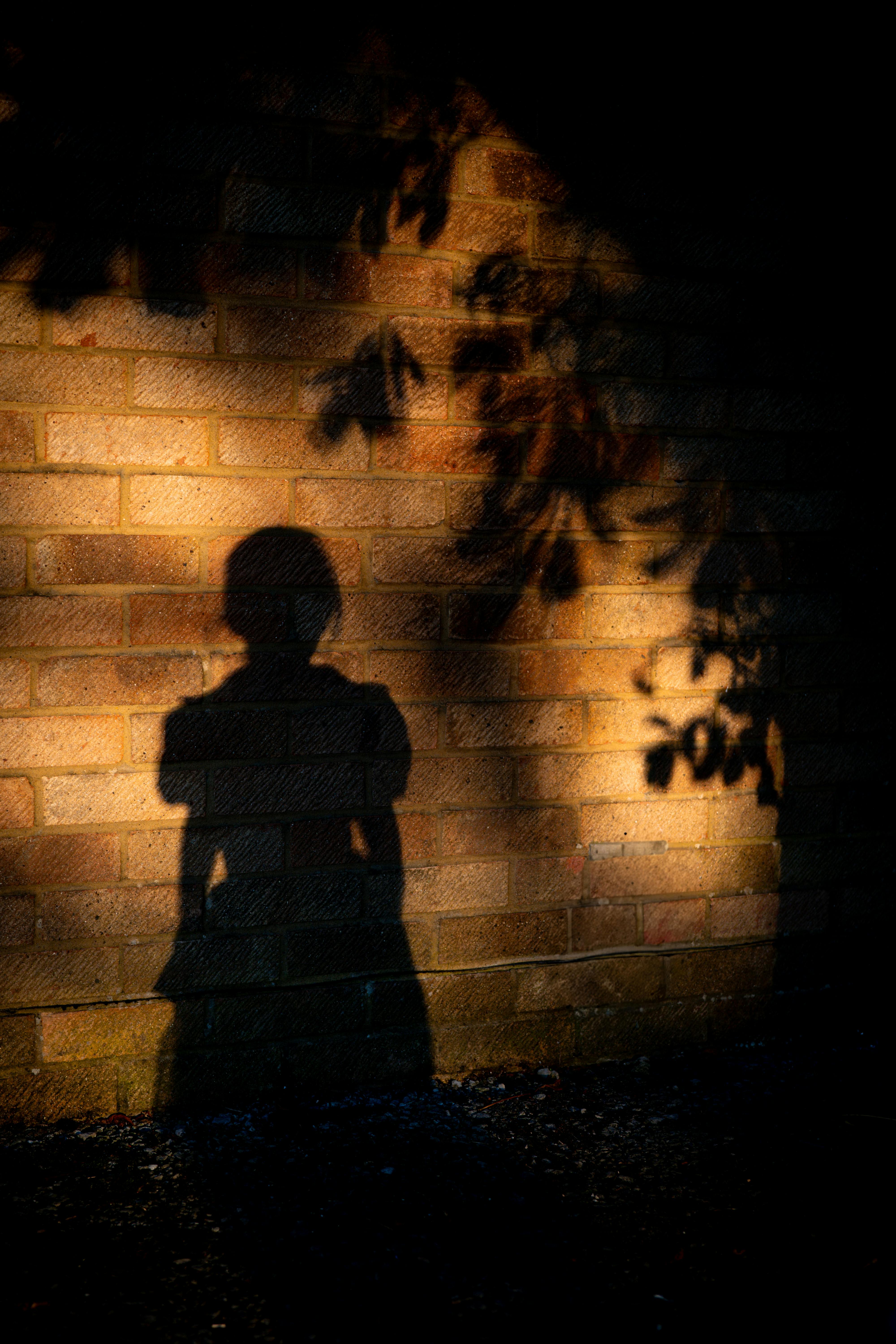 從內(nèi)向到外向：Type 5如何在社交場合中找到自我？